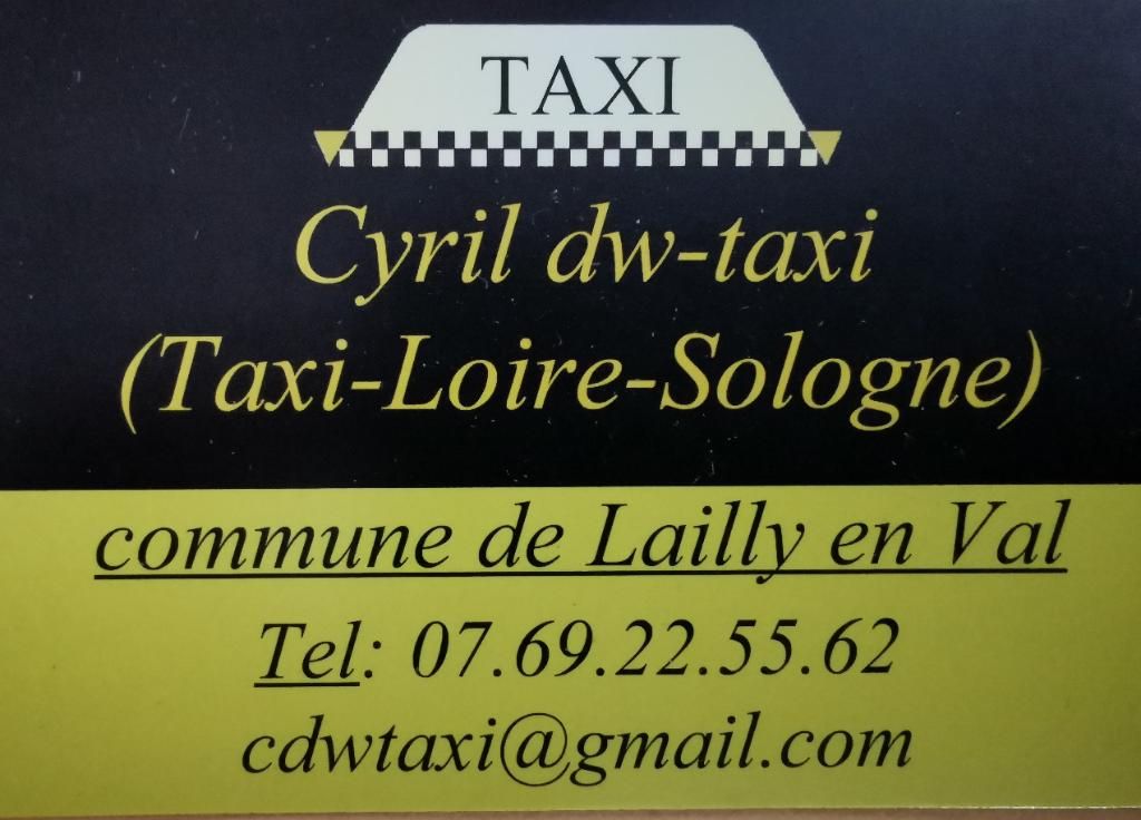 Logo Taxi Loire Sologne